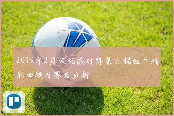 2019年2月汉诺威对阵莱比锡红牛精彩回顾与赛后分析